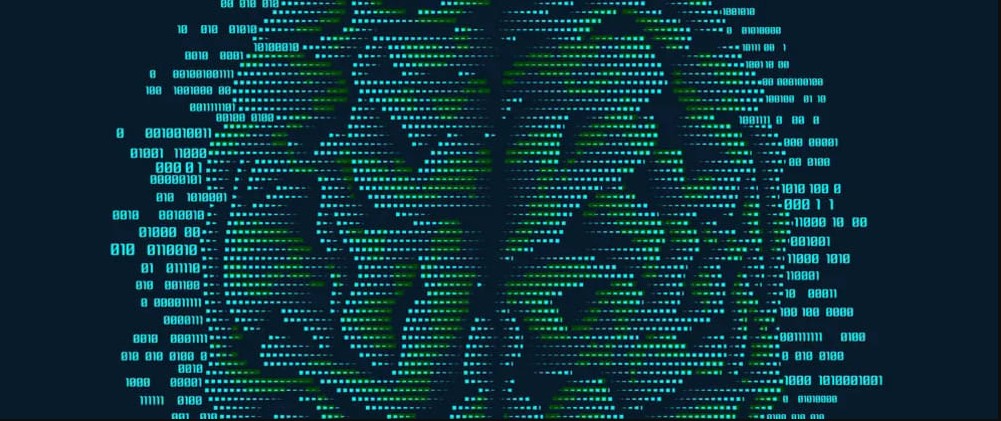 Programador e desenvolvedor podem ser MEI
